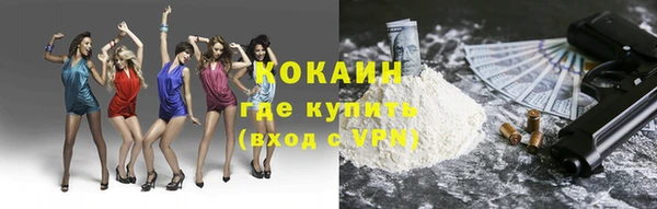 ПСИЛОЦИБИНОВЫЕ ГРИБЫ Богданович