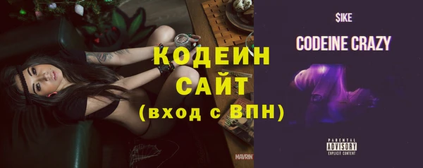 ПСИЛОЦИБИНОВЫЕ ГРИБЫ Богданович
