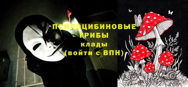 меф Богородицк