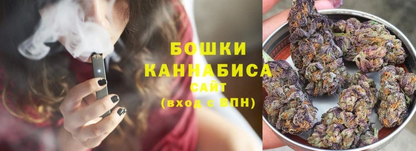 хмурый Богородск