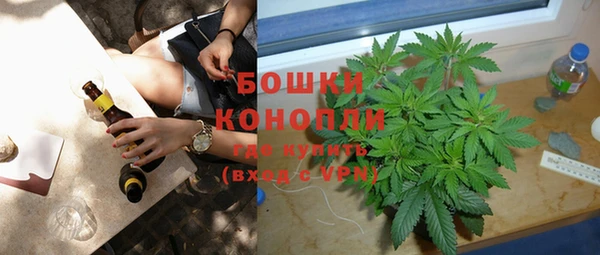 ПСИЛОЦИБИНОВЫЕ ГРИБЫ Богданович
